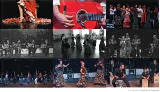 clases guitarra flamenca granada Escuela Municipal de Flamenco de Granada