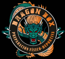 Logo Dragon Box