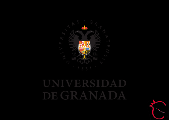 Universidad de granada